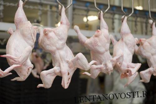 Россия настойчива в стремлении начать поставки в Филиппины мяса птицы