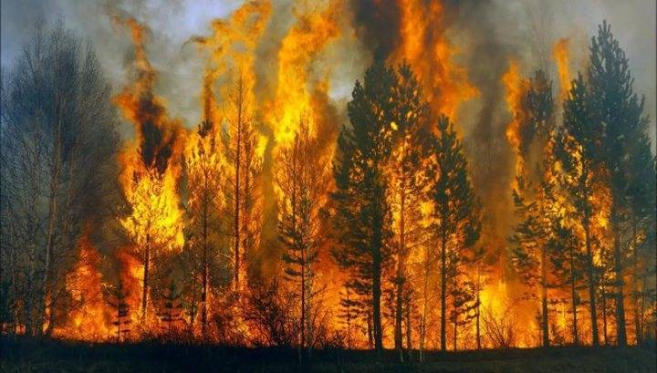 В Забайкалье потушен крупный лесной пожар