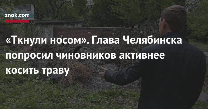 «Ткнули носом». Глава Челябинска попросил чиновников активнее косить траву