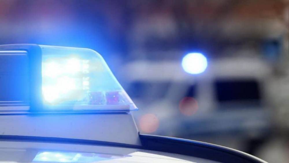 В Берлине двое мужчин избили полицейских во время контроля