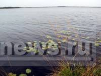 В последний день весны в Тверской области утонули три ребёнка