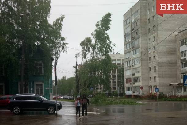 Упавшее дерево затруднило движение автомобилей в центре Сыктывкара