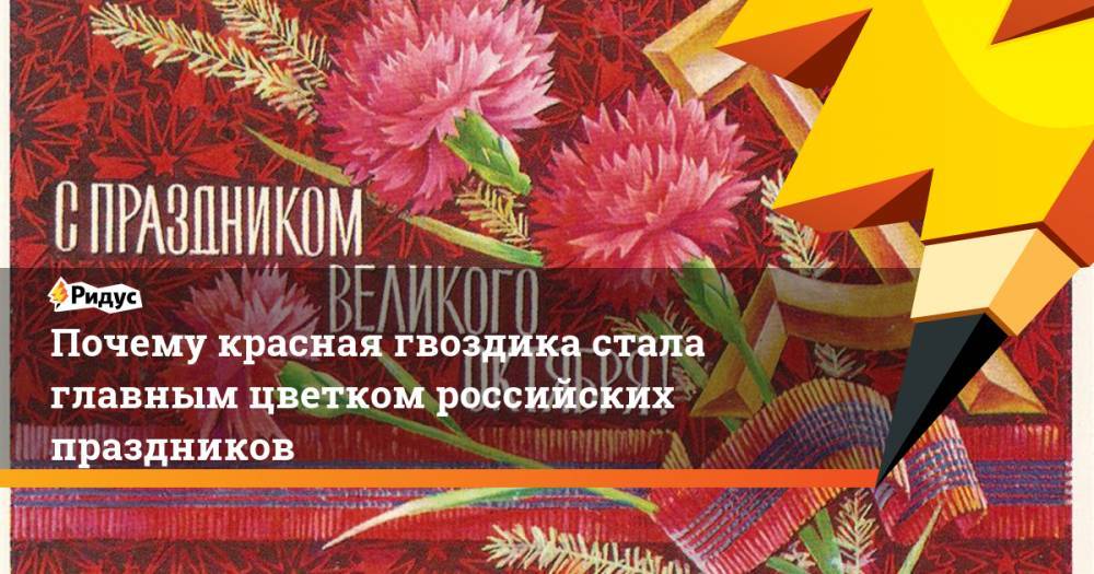 Почему красная гвоздика стала главным цветком российских праздников