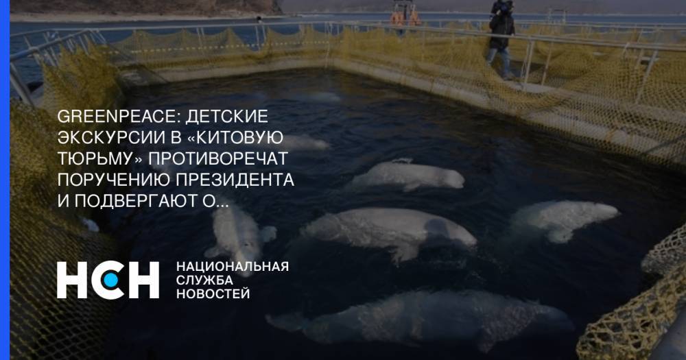 Greenpeace: Детские экскурсии в «китовую тюрьму» противоречат поручению президента и подвергают опасности детей