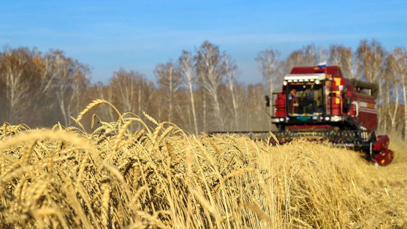 СМИ: Экспортная выручка сельхозпредприятий России выросла втрое за четыре года