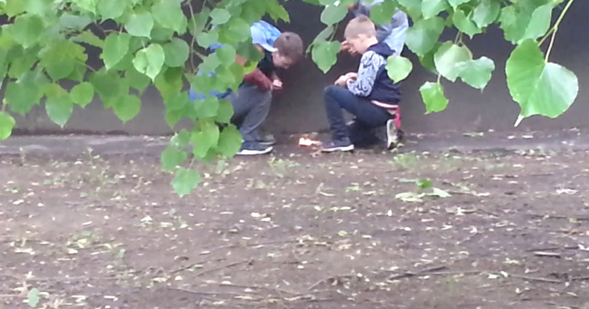 Школьники развлекаются поджогами на Королёвке в Смоленске