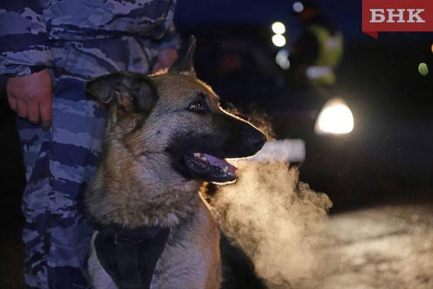 В Сысольском районе служебная собака нашла центнер цветмета