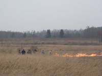 В Тверской области возбуждены уголовные дела по палам травы и лесным пожарам