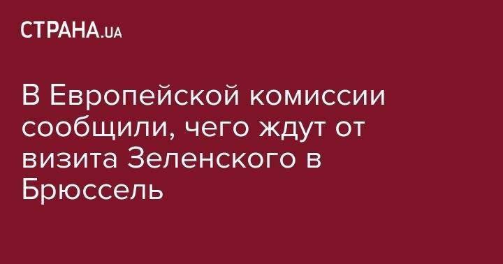 В Европейской комиссии сообщили, чего ждут от визита Зеленского в Брюссель