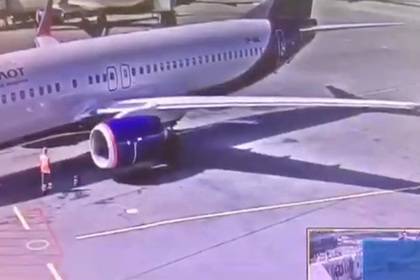 Забросившего сигнальный конус на крыло самолета сотрудника Шереметьево уволили
