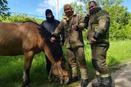 Российские пожарные вернули итальянской туристке коня