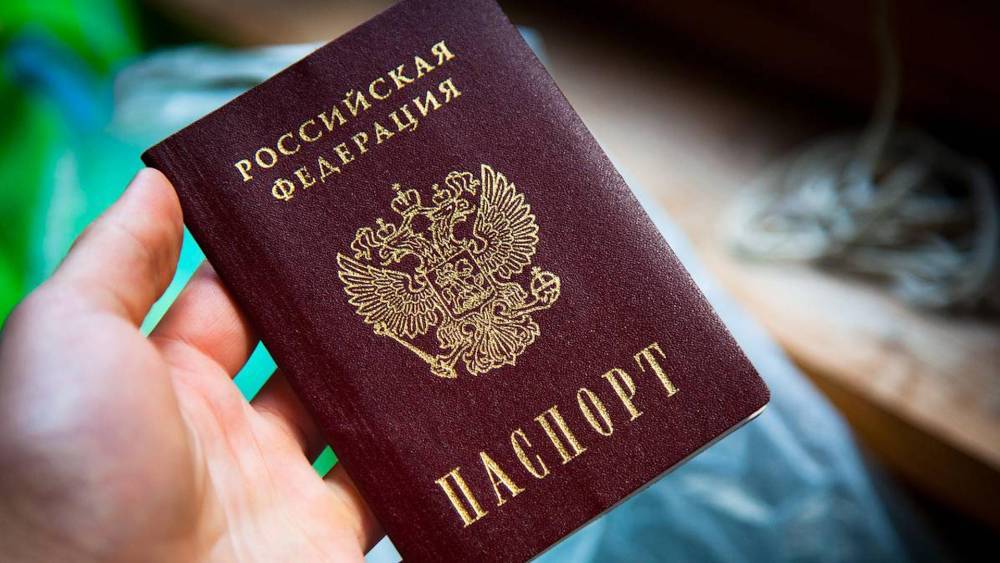 МВД РФ назвало число принятых заявлений на выдачу паспортов от жителей Донбасса