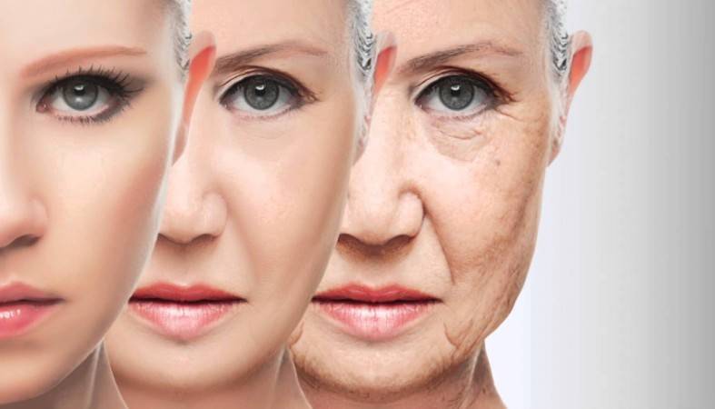 Названы способы борьбы со старением