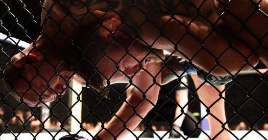 Как Хандожко дебютировал в UFC, а Смит задушил Густафссона. Хайлайты турнира в Швеции
