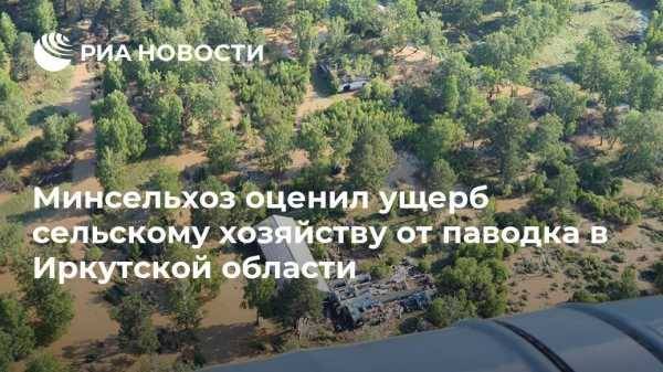 Минсельхоз оценил ущерб сельскому хозяйству от паводка в Иркутской области