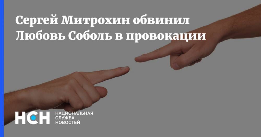 Сергей Митрохин обвинил Любовь Соболь в провокации