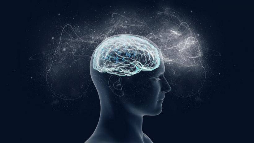 Удовольствие от музыки зависит от анатомических особенностей головного мозга