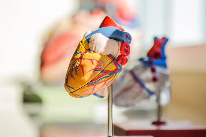 Врачи назвали четыре нетипичных признака болезней сердца