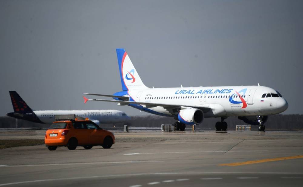 В Москве задержали пассажиров рейса из Грузии
