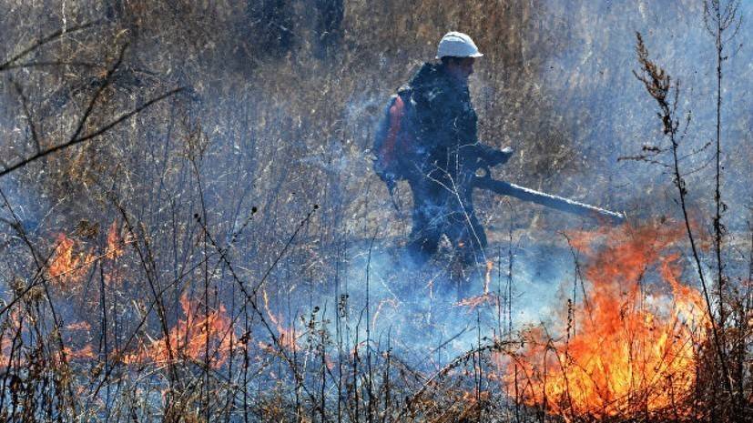 В Оренбургской области ликвидировали природный пожар