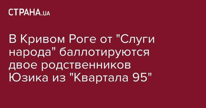 В Кривом Роге от "Слуги народа" баллотируются двое родственников Юзика из "Квартала 95"