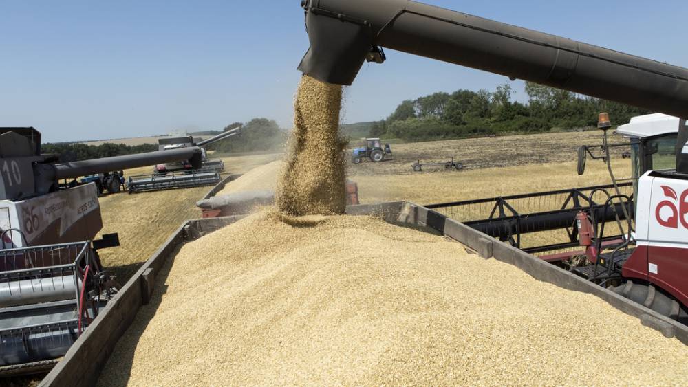 Не только нефть и газ, но и продовольствие: Россия ожидает рекордный урожай зерновых на фоне аномальной жары в Европе