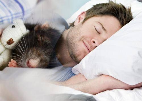 Учёные доказали влияние температурного режима на сон