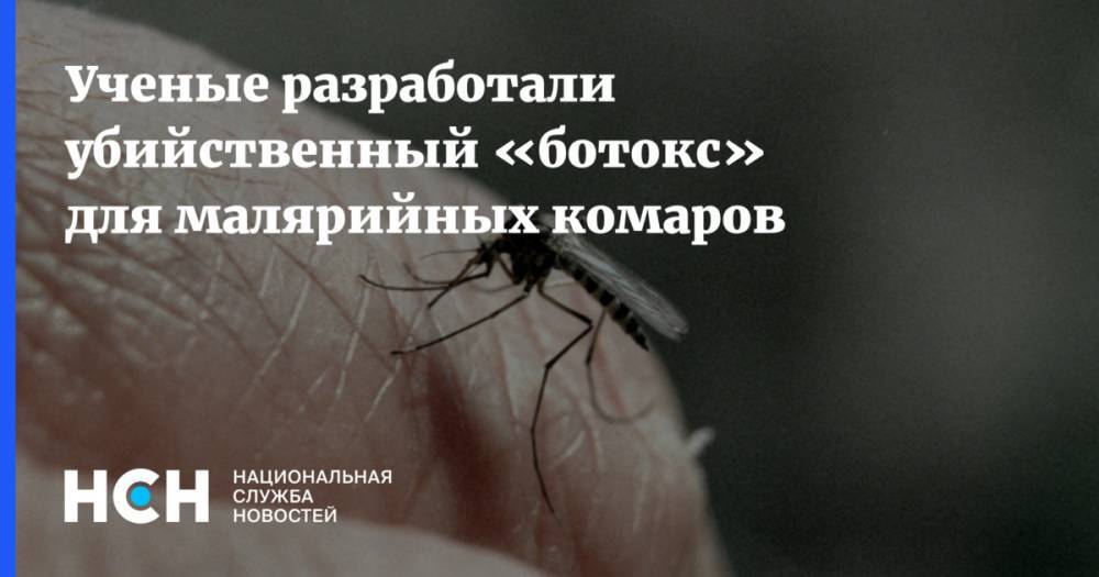 Ученые разработали убийственный «ботокс» для малярийных комаров
