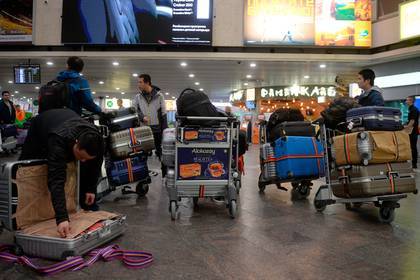 Аэропорт Шереметьево признал свою ответственность за коллапс с багажом