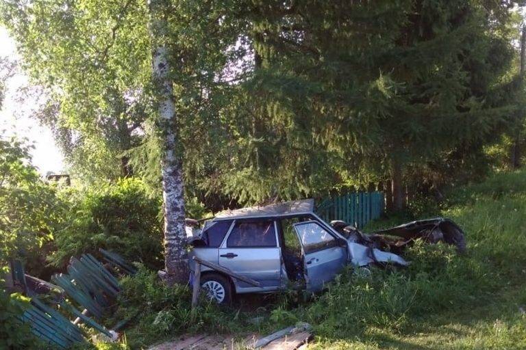 В Тверской области водитель легковушки вылетел в кювет и врезался в дерево