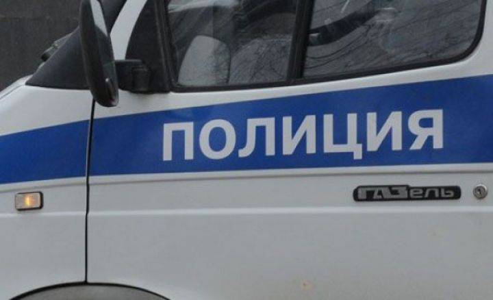 Под Воронежем пьяная женщина встретила участкового ударом электрошокера