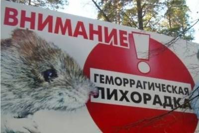 В Саратовской области 348 человек заболели геморрагической лихорадкой
