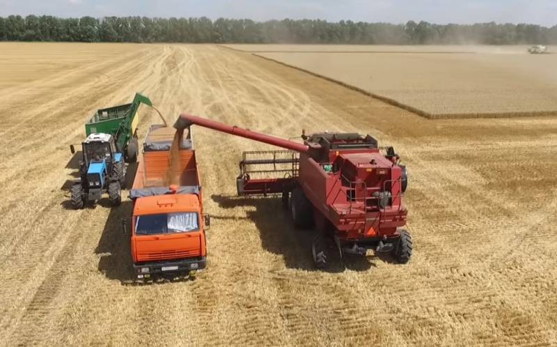 Российская пшеница может вырасти в цене свыше 200 долларов