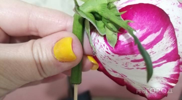 Чебоксарцам продают бутоны роз на зубочистках