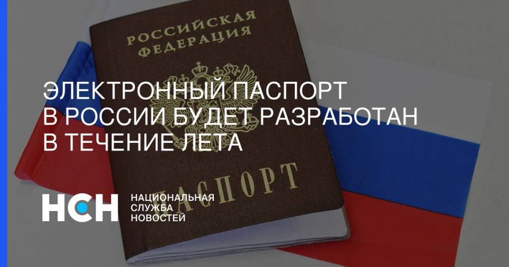Электронный паспорт в России будет разработан в течение лета