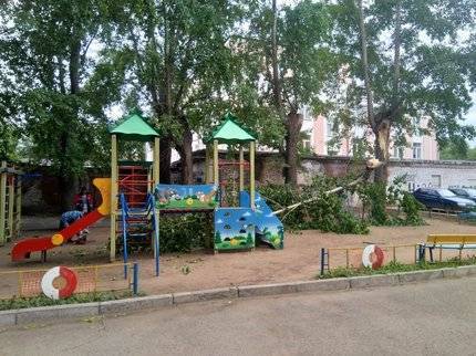В Уфе рядом с детской площадкой упало дерево
