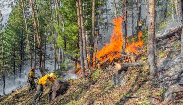 Взрыв против огня: в Забайкалье потушили крупный лесной пожар