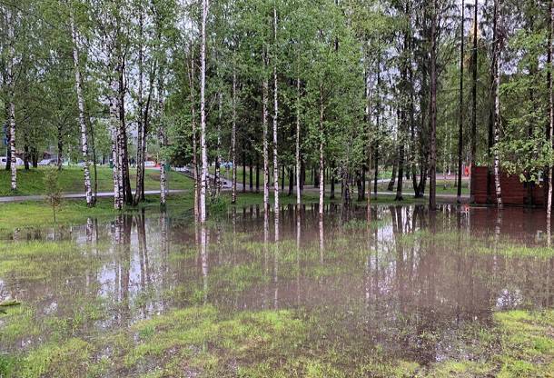 В мэрии Сыктывкара объяснили причины затопления Мичуринского парка после дождей
