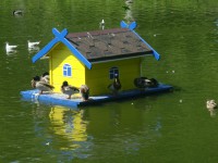Во Ржеве на пруду установили дизайнерские домики для уток
