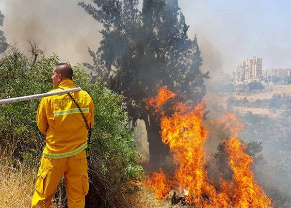 Пожары на окраинах Иерусалима: огонь полыхает, дороги перекрыты