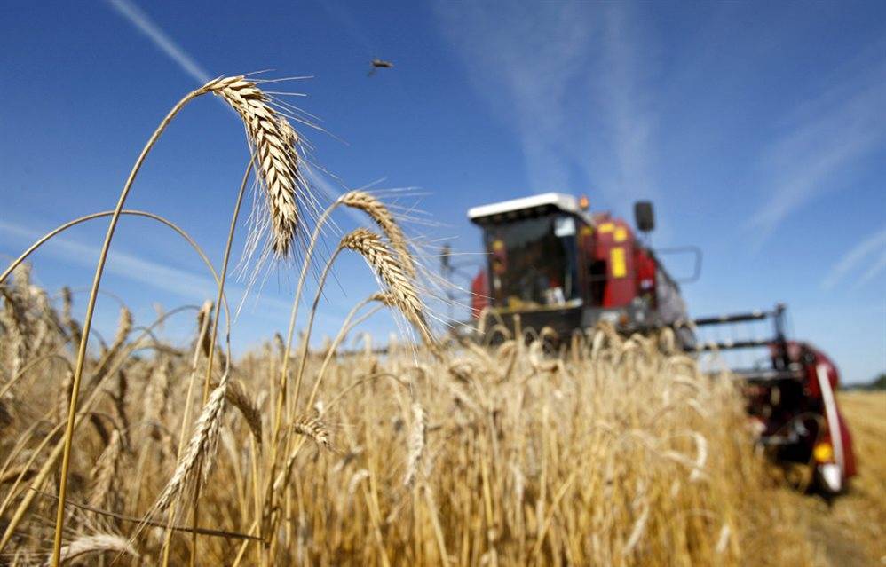 Новые меры поддержки сельхозтоваропроизводителей разработают в регионе