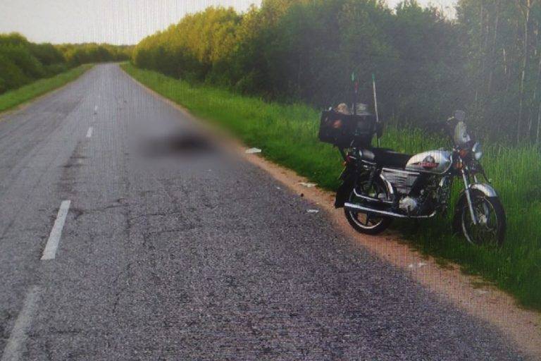 В Тверской области мотоциклист погиб после столкновения с диким кабаном