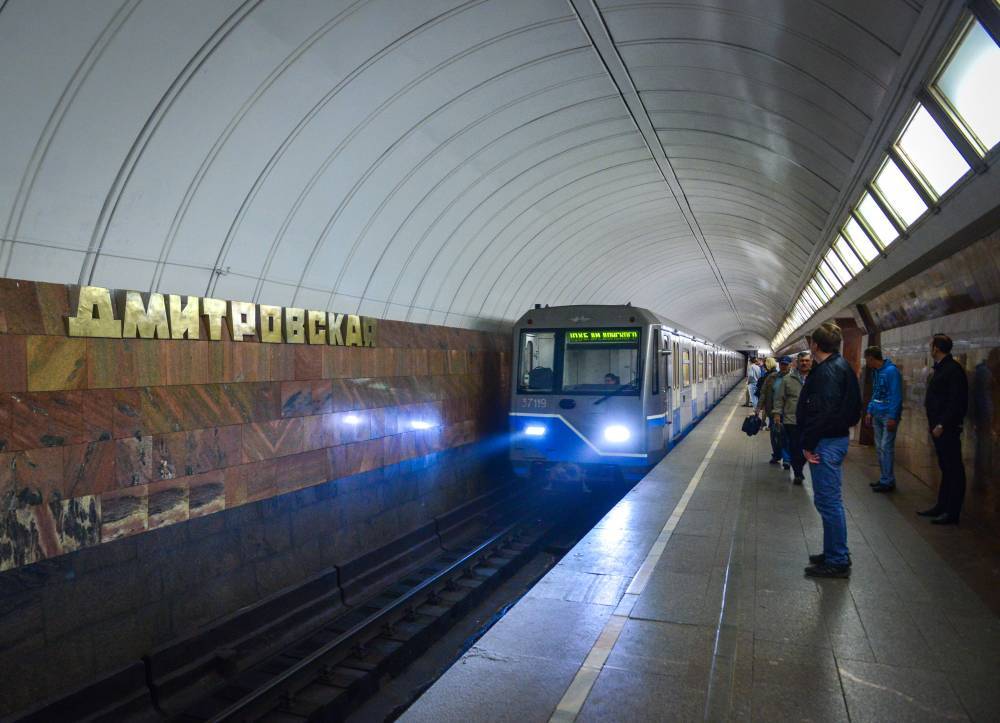 Женщина погибла под колесами поезда в метро Москвы
