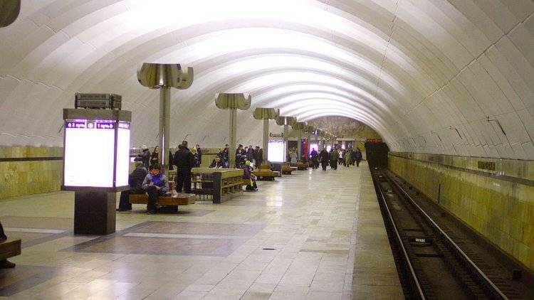 Пенсионерка попала под поезд в московском метро