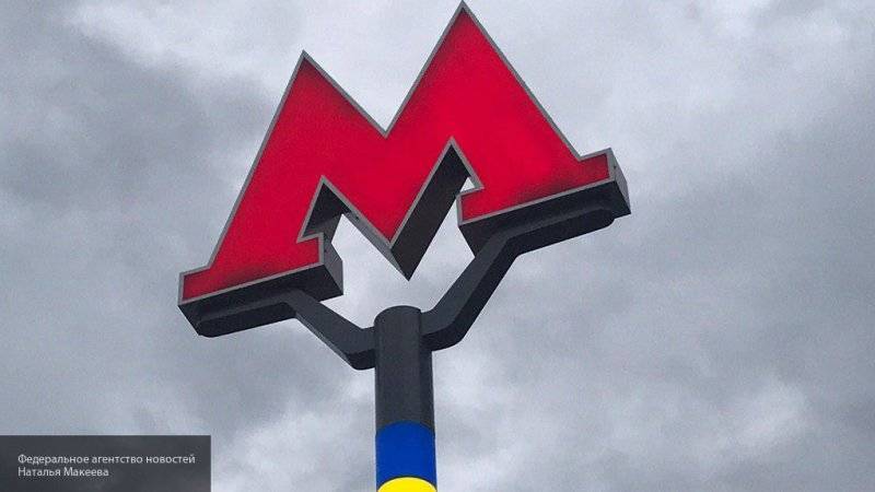 Пенсионерка погибла под колесами поезда метро в Москве