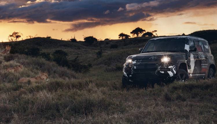 Новый Land Rover Defender «отслужил» в львином заповеднике — испытания закончены