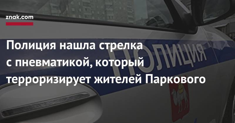Полиция нашла стрелка с&nbsp;пневматикой, который терроризирует жителей Паркового