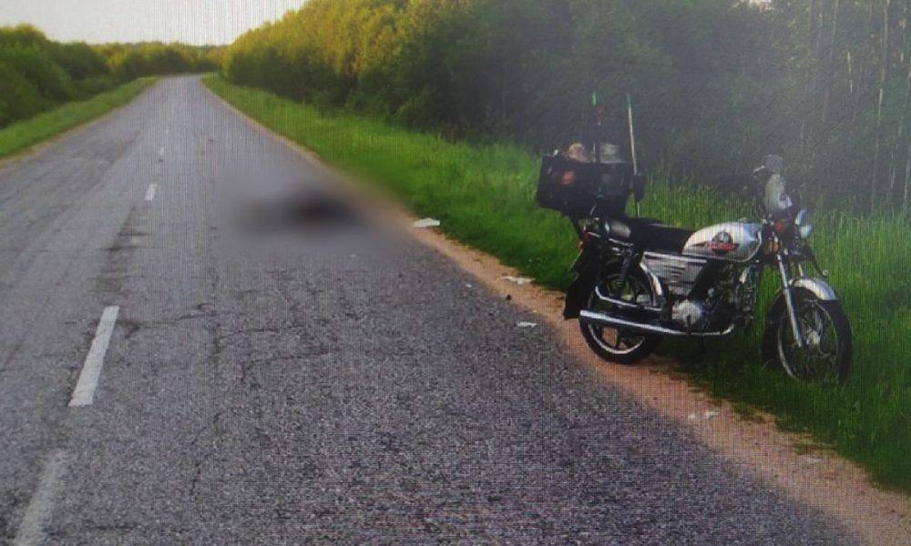Мотоциклист погиб после столкновения с кабаном в Тверском регионе
