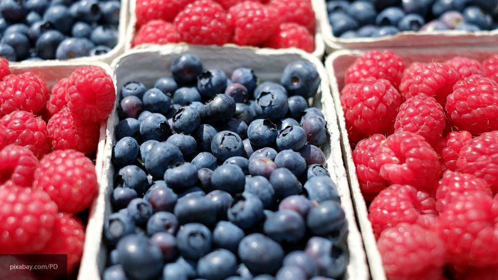 Эксперты назвали самые полезные для организма ягоды