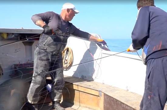 Кабмин внёс в Госдуму проект об отмене плановых проверок рыбопромысловых судов